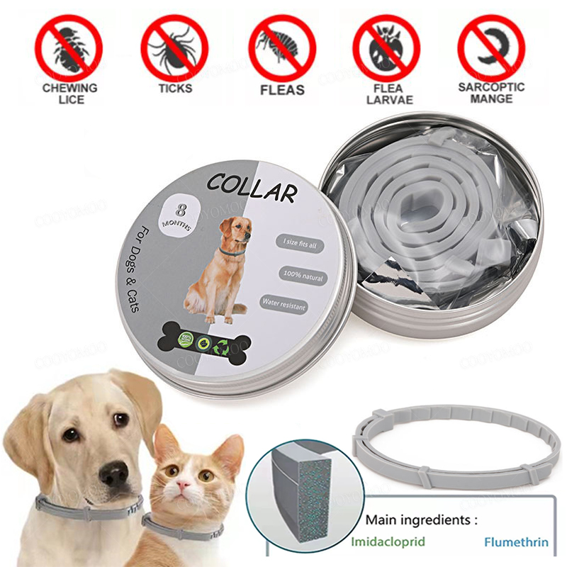 Pet Immune Pir Sensor - Colliers anti-puces et anti-tiques pour animaux
