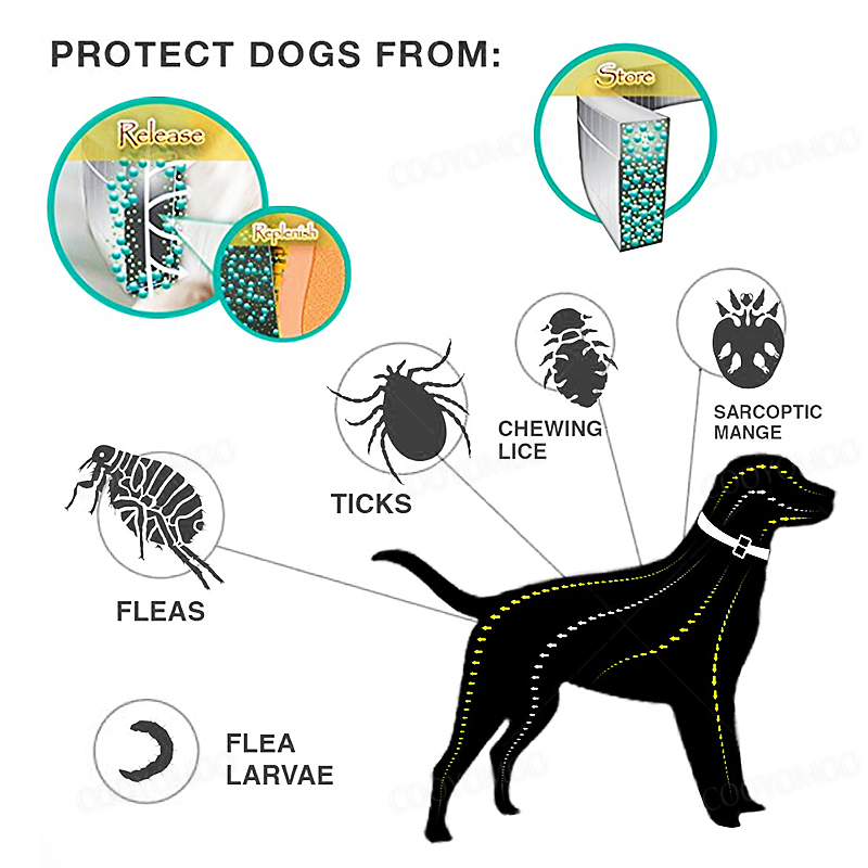 Colliers anti-puces et anti-ti - Pet Immune Pir Sensor avis et prix