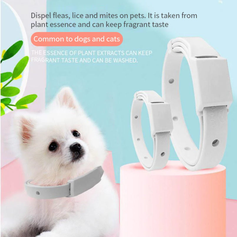 Collier anti-puces pour chat,  - Pet Immune Pir Sensor avis et prix