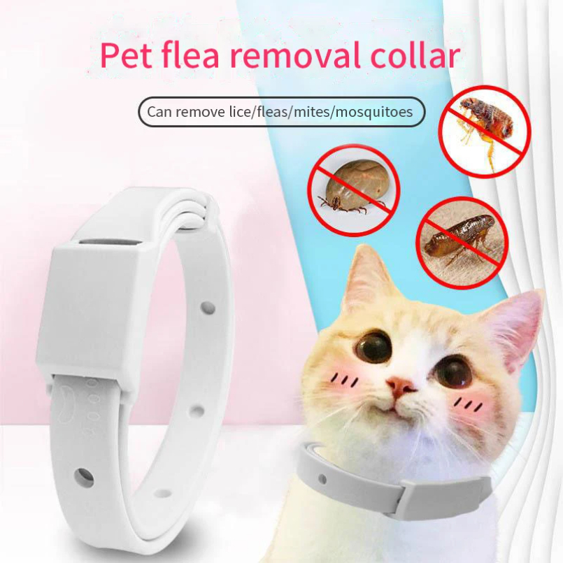 Collier anti-puces pour chat,  - Pet Immune Pir Sensor avis et prix
