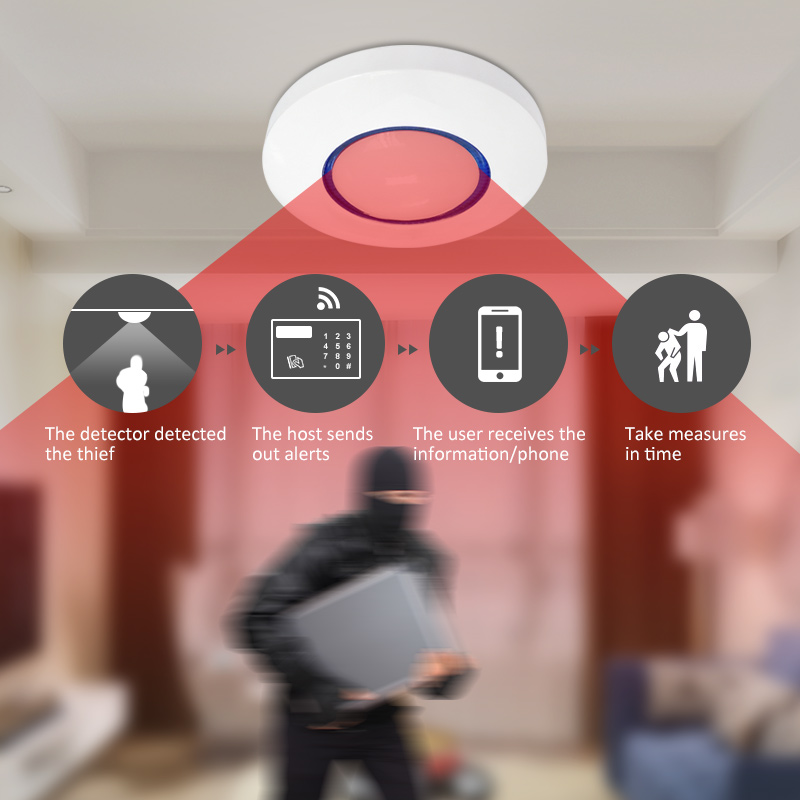 Détecteur de mouvement PIR san - Pet Immune Pir Sensor avis et prix