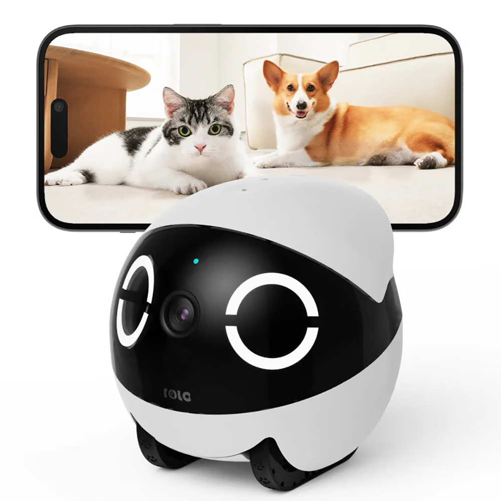 Robot Compagnon Mini pour Anim - Home Security Robot avis et prix
