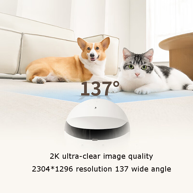 Robot Compagnon Mini pour Anim - Home Security Robot avis et prix